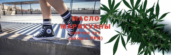 СК Дедовск