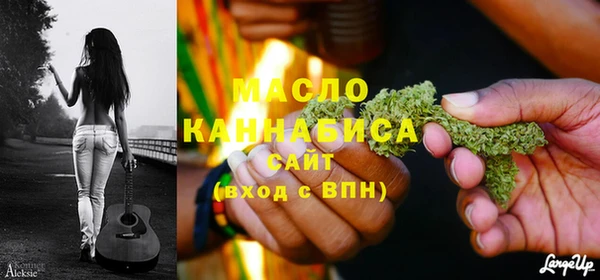 гашик Грязи