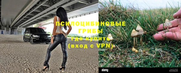 спиды Семилуки